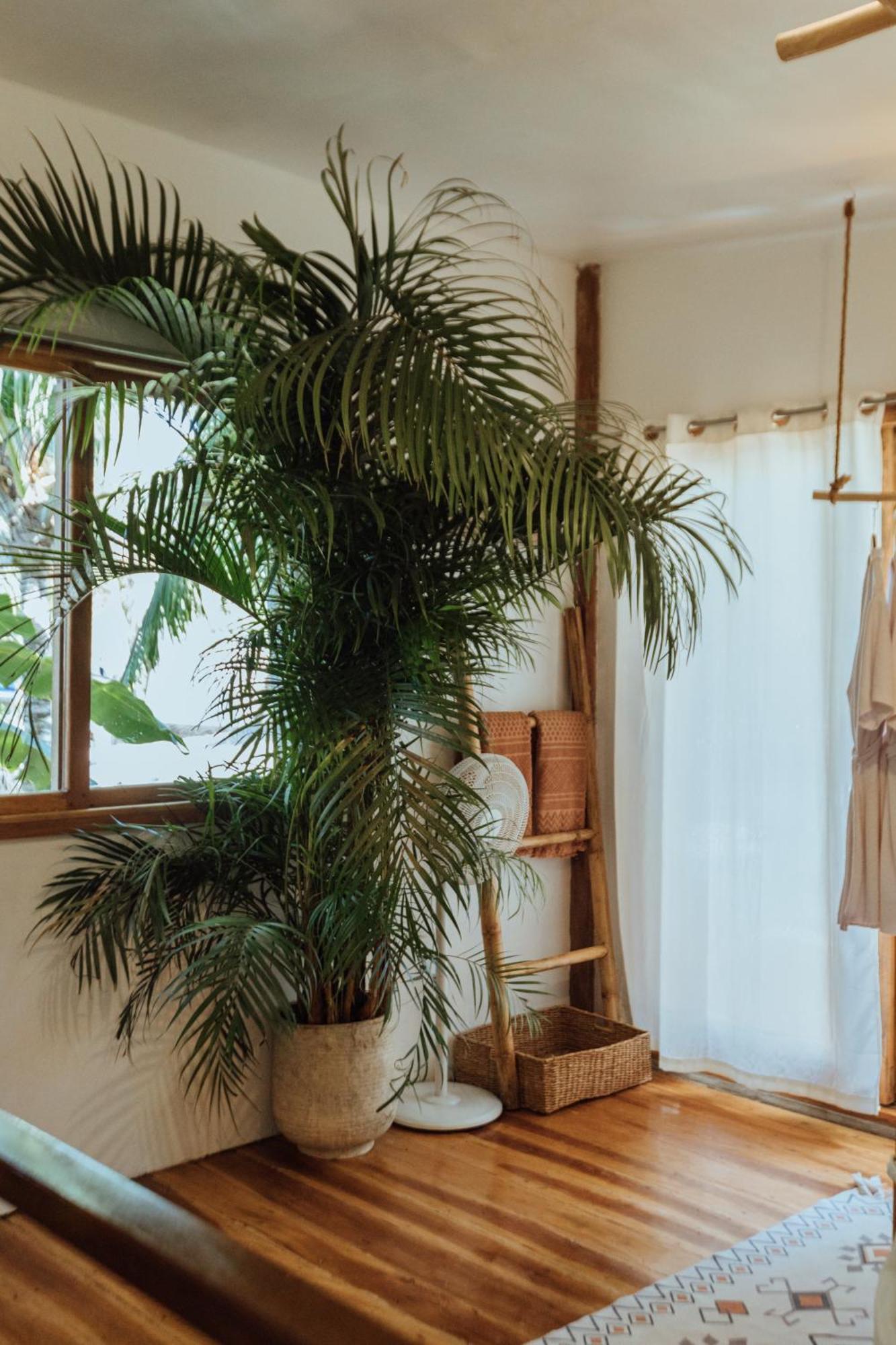 Mango Tango Villas Siargao 卢纳将军城 外观 照片